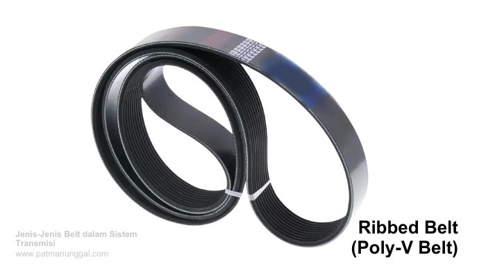 Ribbed Belt