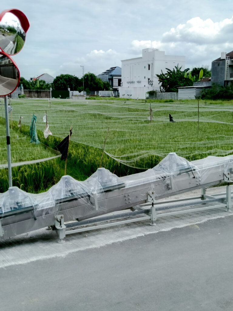 IMG_20251208_083918_925